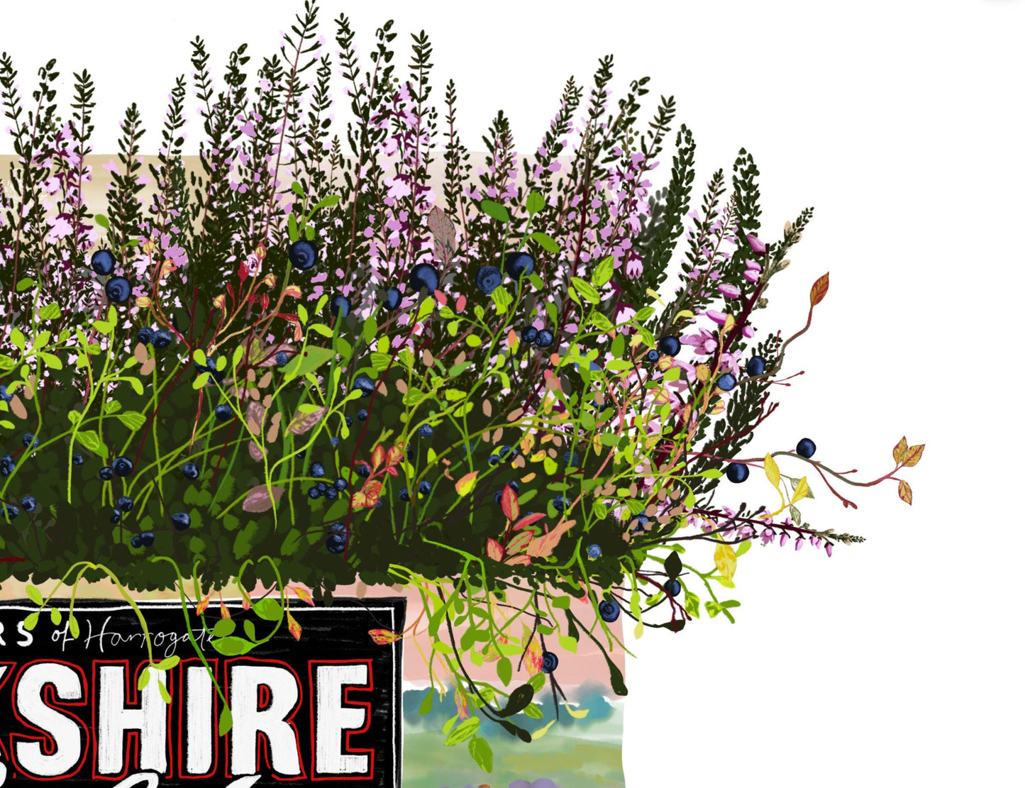 Yorkshire Gold Tea Art Print: Heather and Bibury Flowers